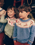 Fair Isle Jumper-Blue Marl Polar Post