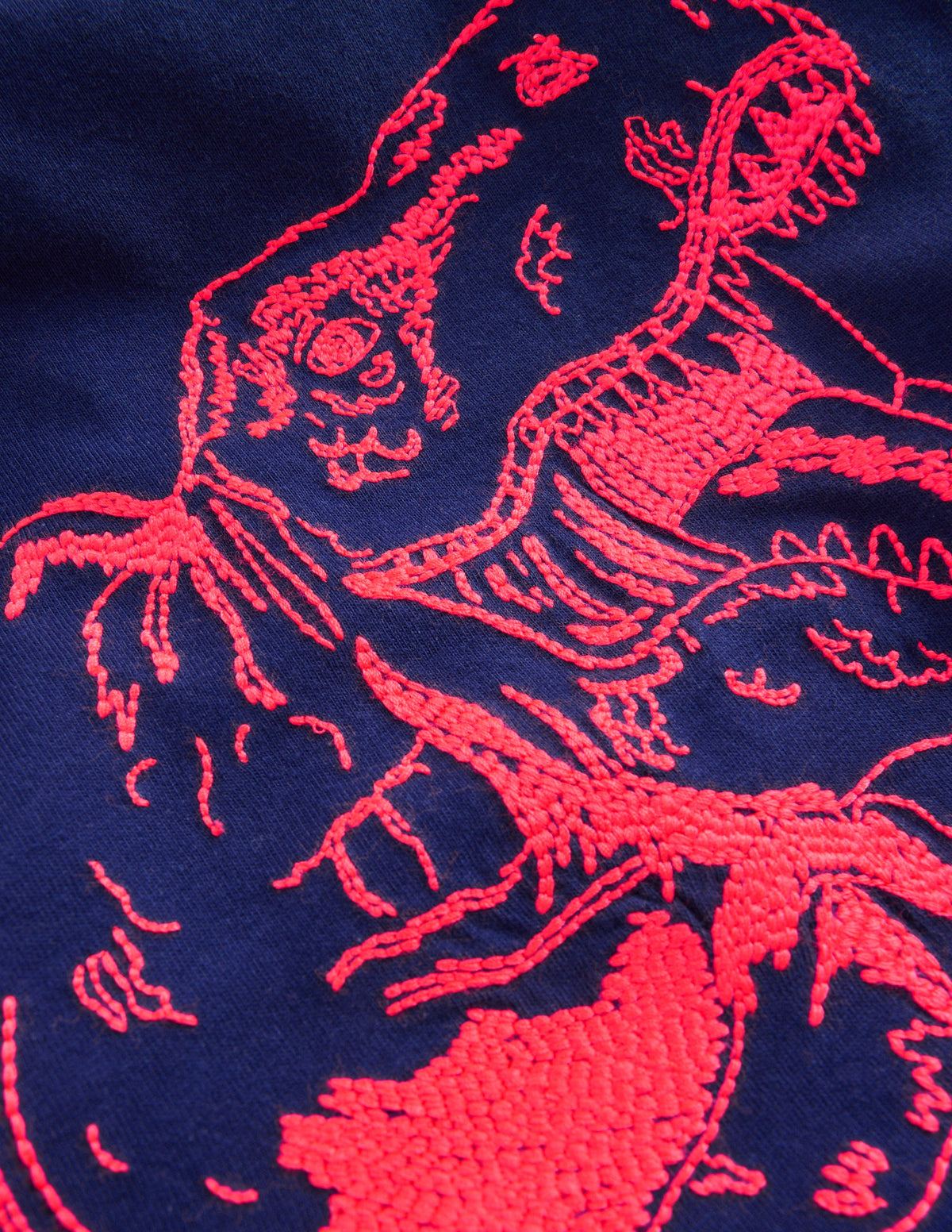 Neon Superstitch T-shirt-College Navy Dino-3