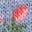 Collared Cardigan-Glacier Blue Marl Roses