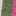 Denim Shorts-Ivory/Green/Pink Stripe