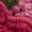 Borg Interest Jacket-Pink Raspberries