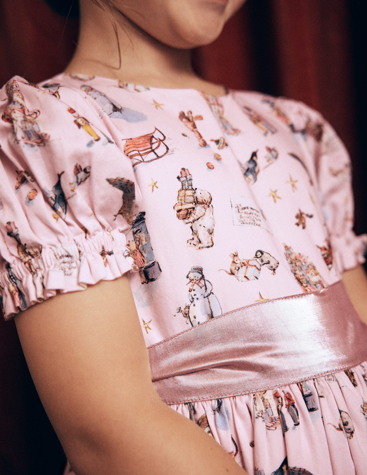 Aubrey Puff Sleeve Party Dress-Polar Post Print - Image 5