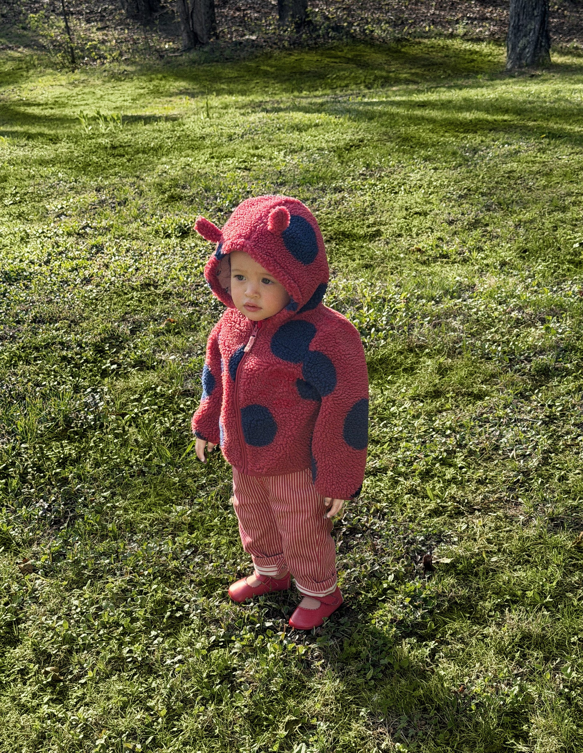 Novelty Cosy Borg Jacket-Ladybird-5