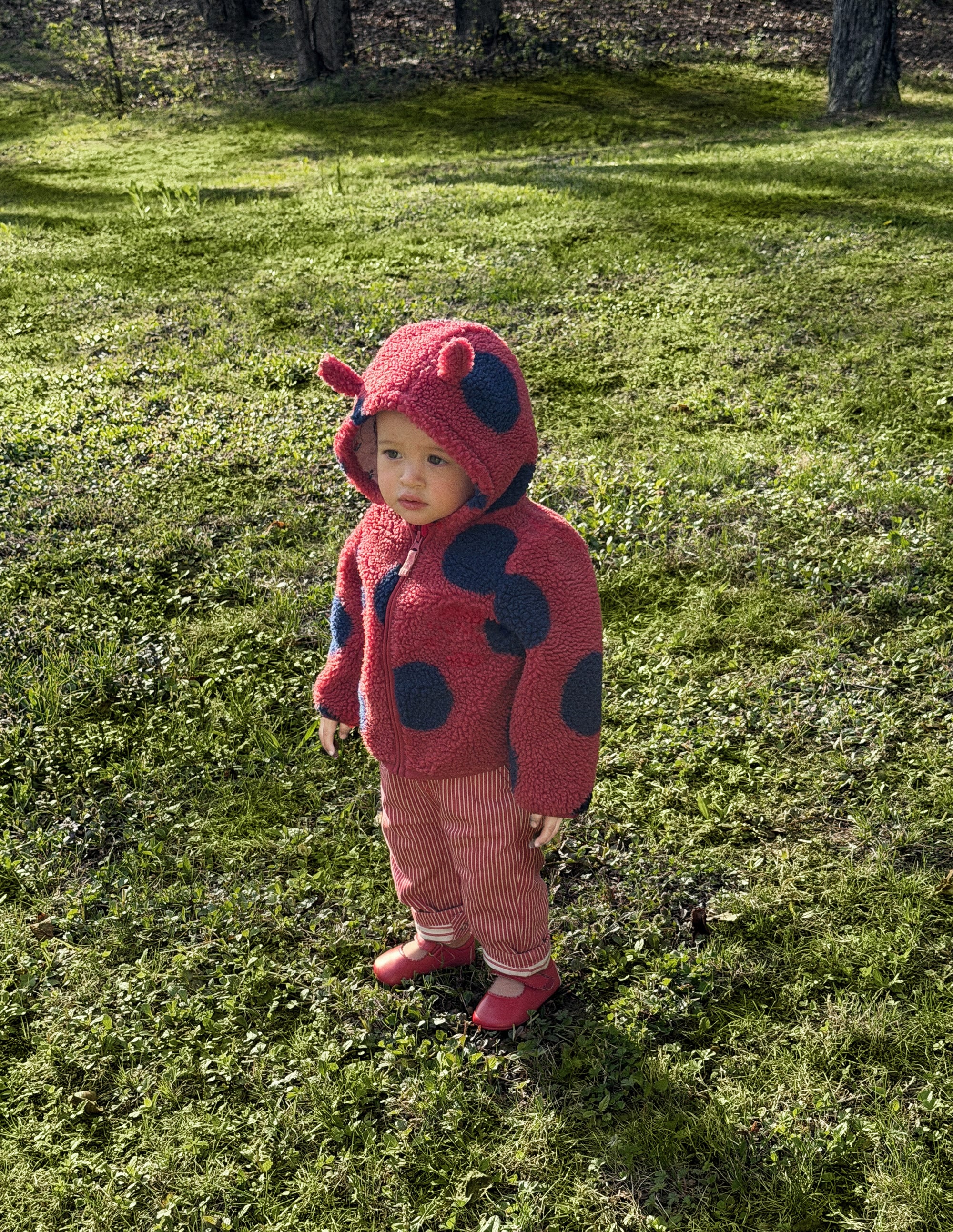 Novelty Cosy Borg Jacket-Ladybird - Image 5