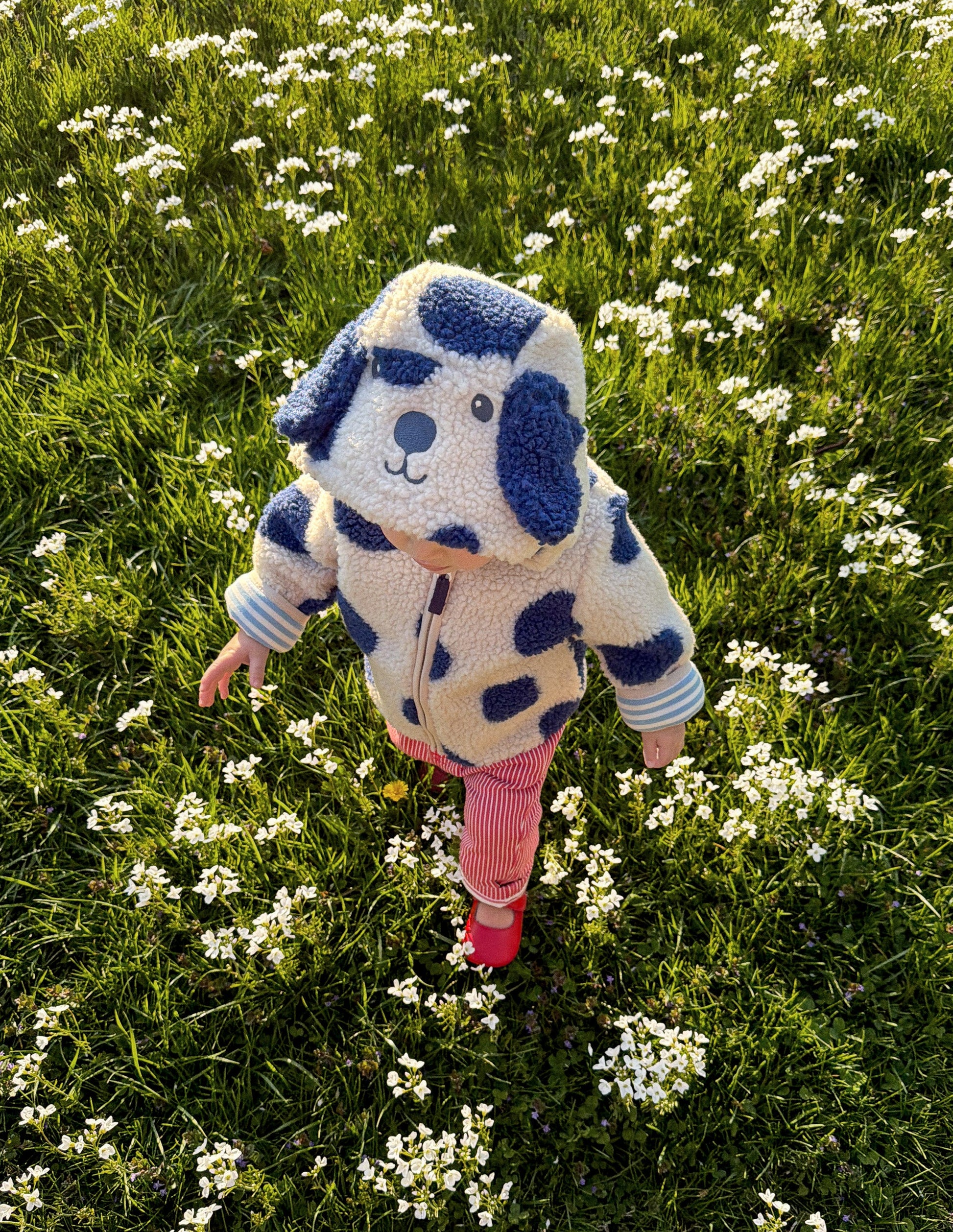 Novelty Cosy Borg Jacket-Navy & Ivory Dog-5