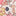 5-pack Cotton Bodies-Multi Floral Stripes