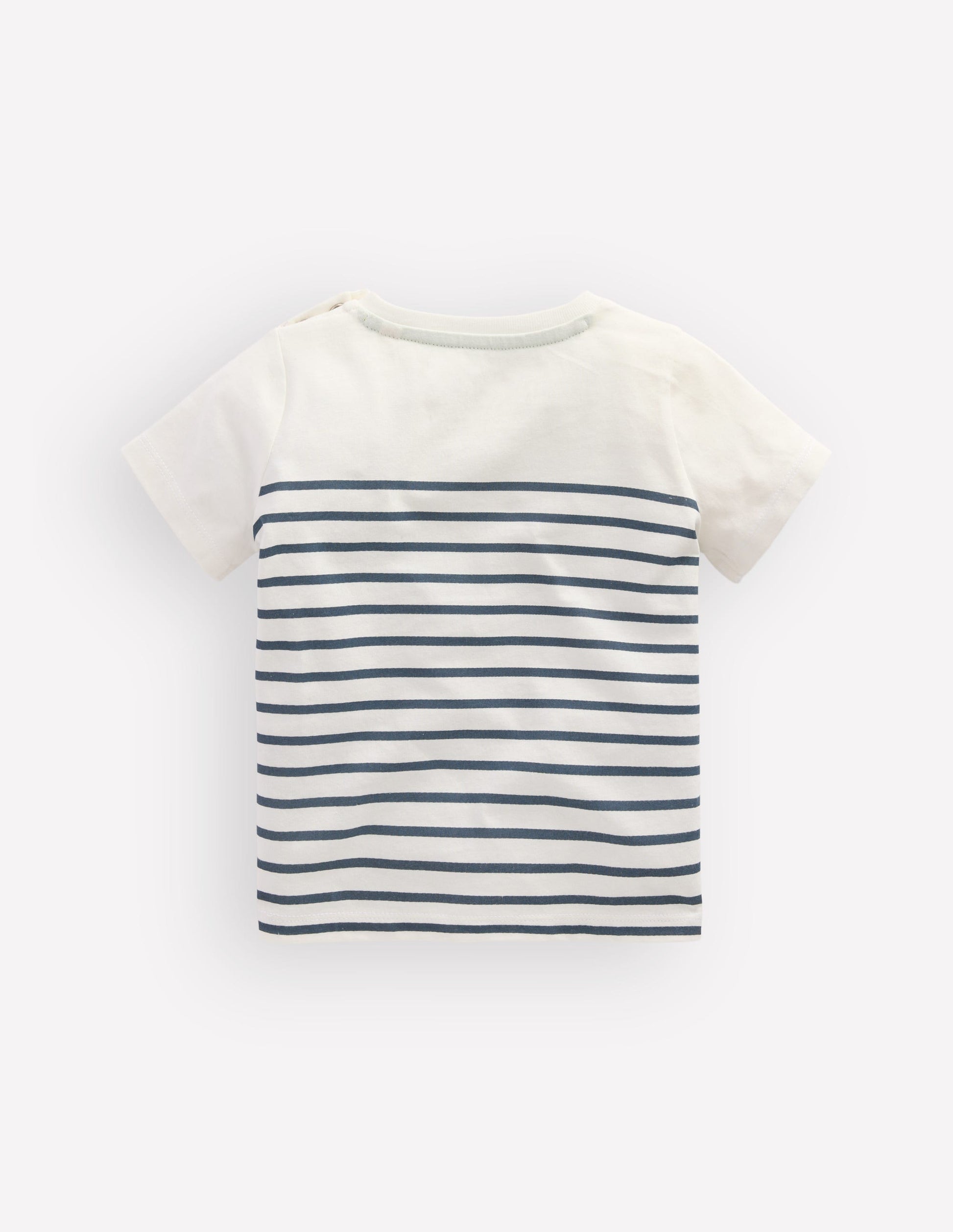 Boys Embroidered T-Shirt-Blue Stripe Chameleon-2