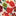 3-in-1 Shower Resistant Coat-Poppy Field