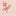 Pretty Collar Sweat Set-Botanic Pink Ditsy Floral