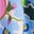 Fit and Flare Midi Dress-Multi Meadow Flowers Lattice