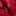 Interest Raffia Belt-Red