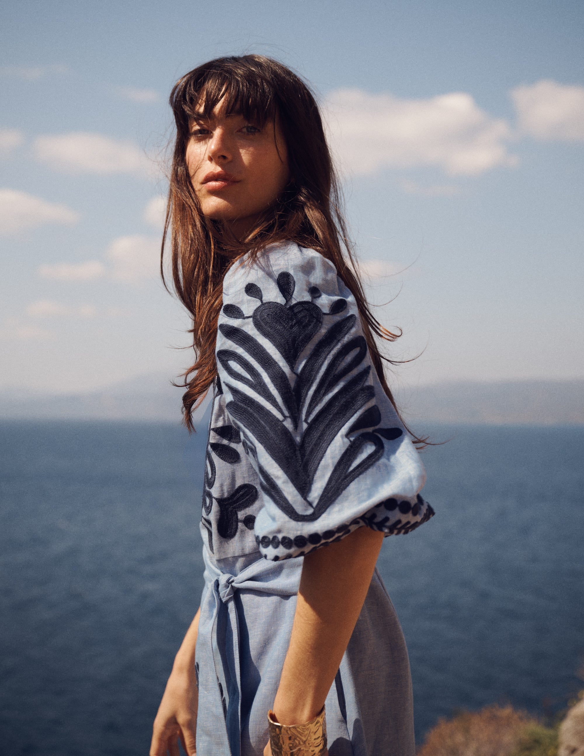 Octavia Linen Blend Dress-Embroidered Chambray - Image 7