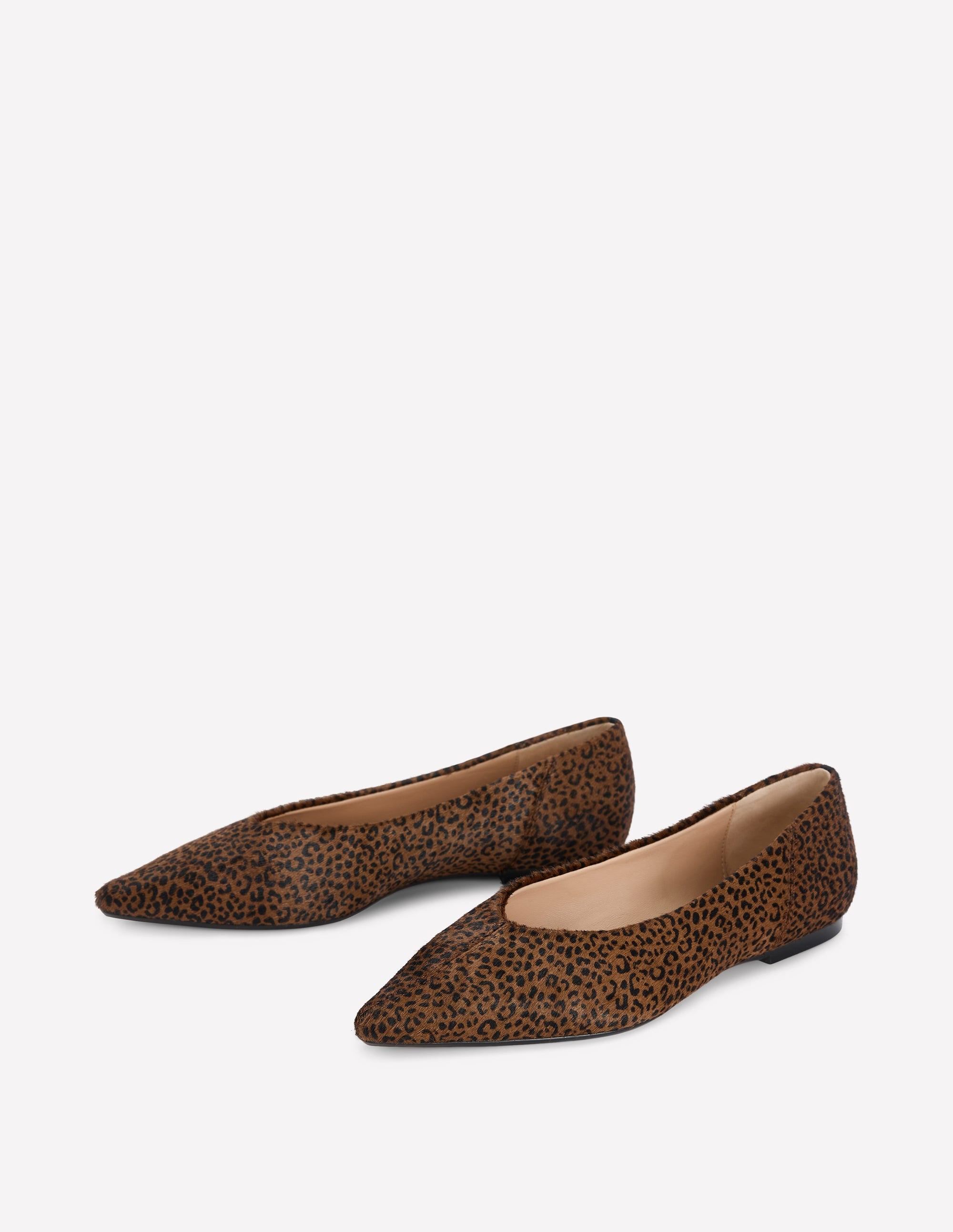 Nigella Pointed Toe Flats-Mini Leopard - Image 3