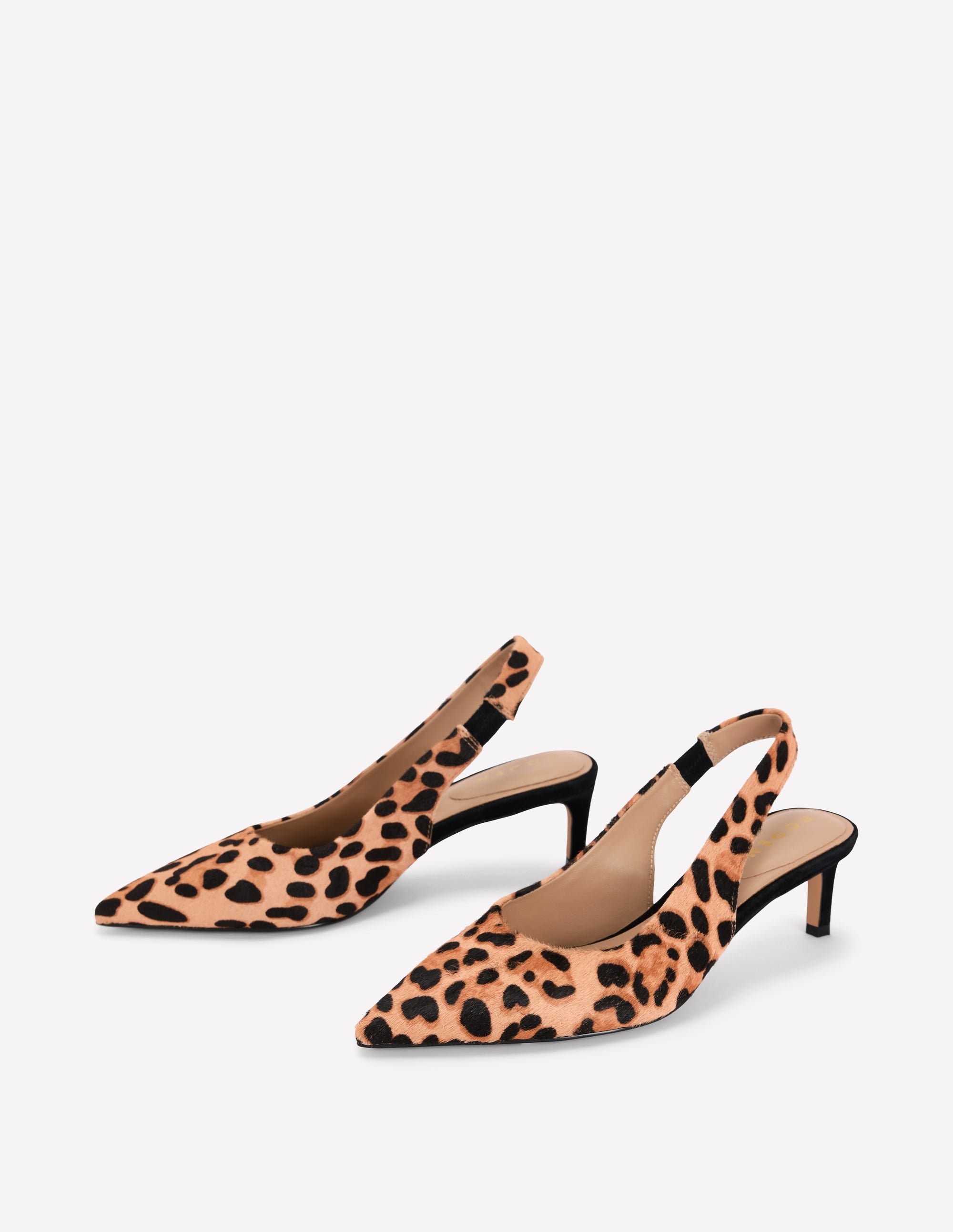 Hope Pointed Slingback Heels-Classic Leopard - Image 3